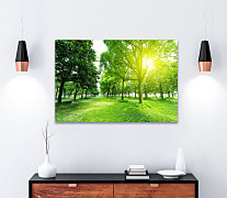 Obraz Zeleň v parku 1671